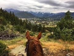 Horseback Rides in Estes Park CO
